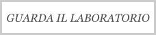 GUARDA IL LABORATORIO