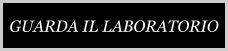 GUARDA IL LABORATORIO