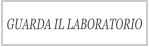 GUARDA IL LABORATORIO