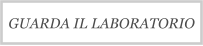 GUARDA IL LABORATORIO